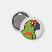 Aimant Macaw à tête rouge (Recto/Verso)