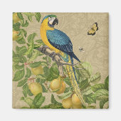 Aimant Macaw Blue Jaune Tropical Jungle Antique (Devant)