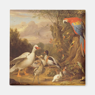 Aimant Macaw, Canards, perroquets et autres oiseaux sur u