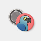 Aimant Macaw de Spix (Recto/Verso)