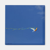 Aimant Macaw Kite (Devant)