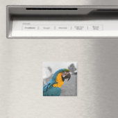 Aimant Macaw Parrot (In Situ (Lave-vaisselle))