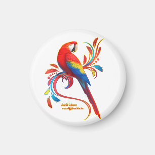 Aimant Macaw-Scarlet