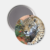 Aimant Macro Stalking Leopard (Recto/Verso)
