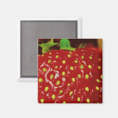 Aimant Macrographie des fraises (Recto/Verso)