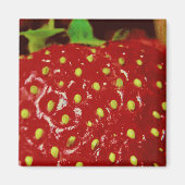 Aimant Macrographie des fraises (Devant)