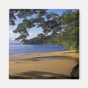 Aimant Madagascar, Réserve spéciale de Nosy Mangabe, sur