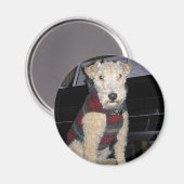 Aimant Maestro Groupie (Recto/Verso)