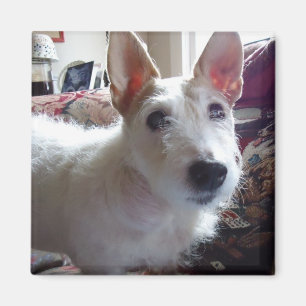 Aimant Maggie Mae