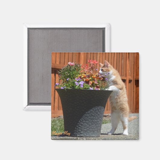 Aimant Maggie May & Flowers (Recto/Verso)