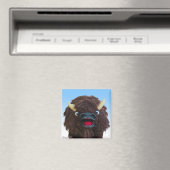 Aimant Magic Buffalo (In Situ (Lave-vaisselle))