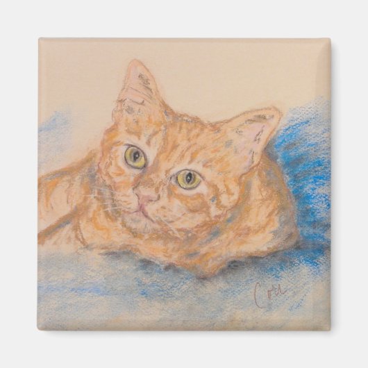 Aimant Magnat d'art de chat orange (Devant)