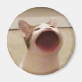 Aimant Magnat de chat (Devant)