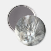 Aimant Magnat de chat couché (Recto/Verso)