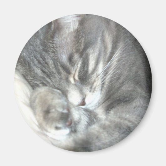 Aimant Magnat de chat couché (Devant)