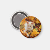 Aimant Magnat de chat d'automne (Recto/Verso)