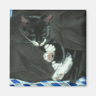 Aimant Magnat de chat de luxe dormant