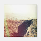 Aimant Magnat de chat vintage (Devant)