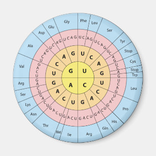 Aimant Magnat de code génétique