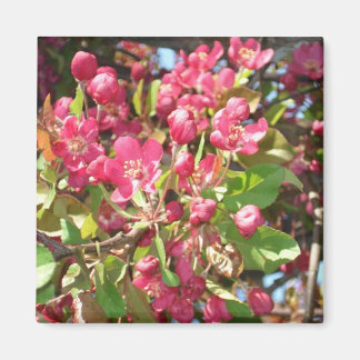 Aimant Magnat de crabe des fleurs1