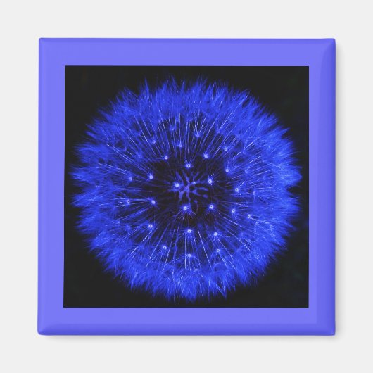 Aimant Magnat de design de pouf Dandelion bleu (Devant)