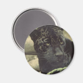 Aimant Magnat de la Panthère noire (Recto/Verso)