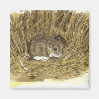 Magnat de la souris de champ