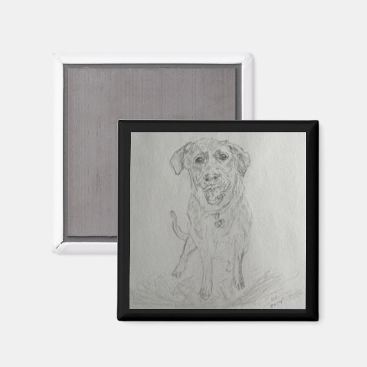 Aimant Magnat de laboratoire (Recto/Verso)