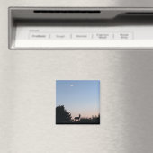 Aimant Magnat de lune (In Situ (Lave-vaisselle))