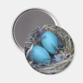 Aimant Magnat de nid (Recto/Verso)