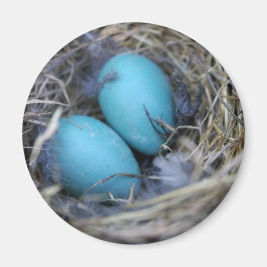 Aimant Magnat de nid (Devant)