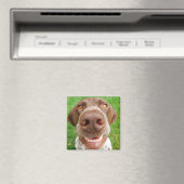 Aimant Magnat de sourire GSP (In Situ (Lave-vaisselle))