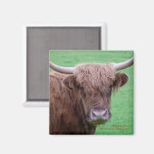 Aimant Magnat de vache Highland (Recto/Verso)