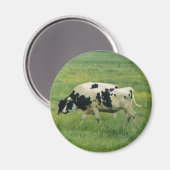 Aimant Magnat de vaches (Recto/Verso)