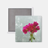 Aimant Magnat d'image en géranium rose (Recto/Verso)