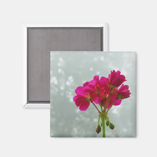 Aimant Magnat d'image en géranium rose (Recto/Verso)