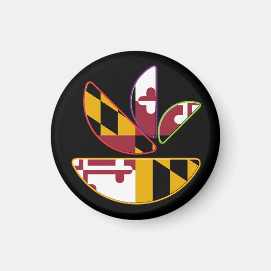 Aimant Magnat GMD (Devant)