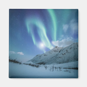Aimant Magnat Norvège auriculaire nordique