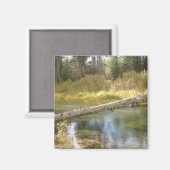 Aimant Magnat photo Tree Creek (Recto/Verso)