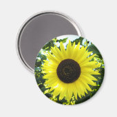 Aimant Magnat rond de tournesol en été (Recto/Verso)