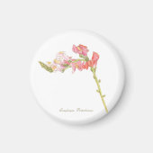 Aimant Magnat Snapdragon (Devant)