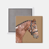 Aimant Magnat Stallion Knabstupper (Recto/Verso)