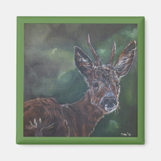 Aimant Magneet Hert.