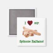 Aimant Magnet, avec magnifique Spinone chiot l (Recto/Verso)