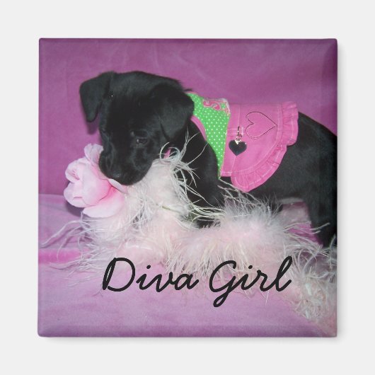 Aimant Magnet, Diva Girl (Devant)
