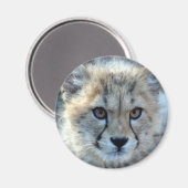 Aimant Magnet-guépard-cub10x10 (Recto/Verso)