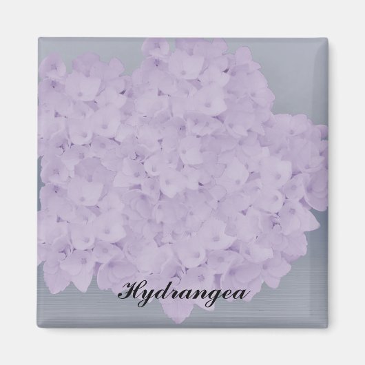 Aimant Magnét Hydrangea Lavande Charmant (Devant)