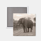 Aimant Magnet_OneTusk_Tribute_Kariba (Recto/Verso)