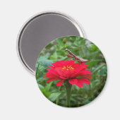 Aimant Magnet-round/prière Mantis & Zinnie (Recto/Verso)