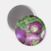 Aimant Magnet/Turnips (Recto/Verso)